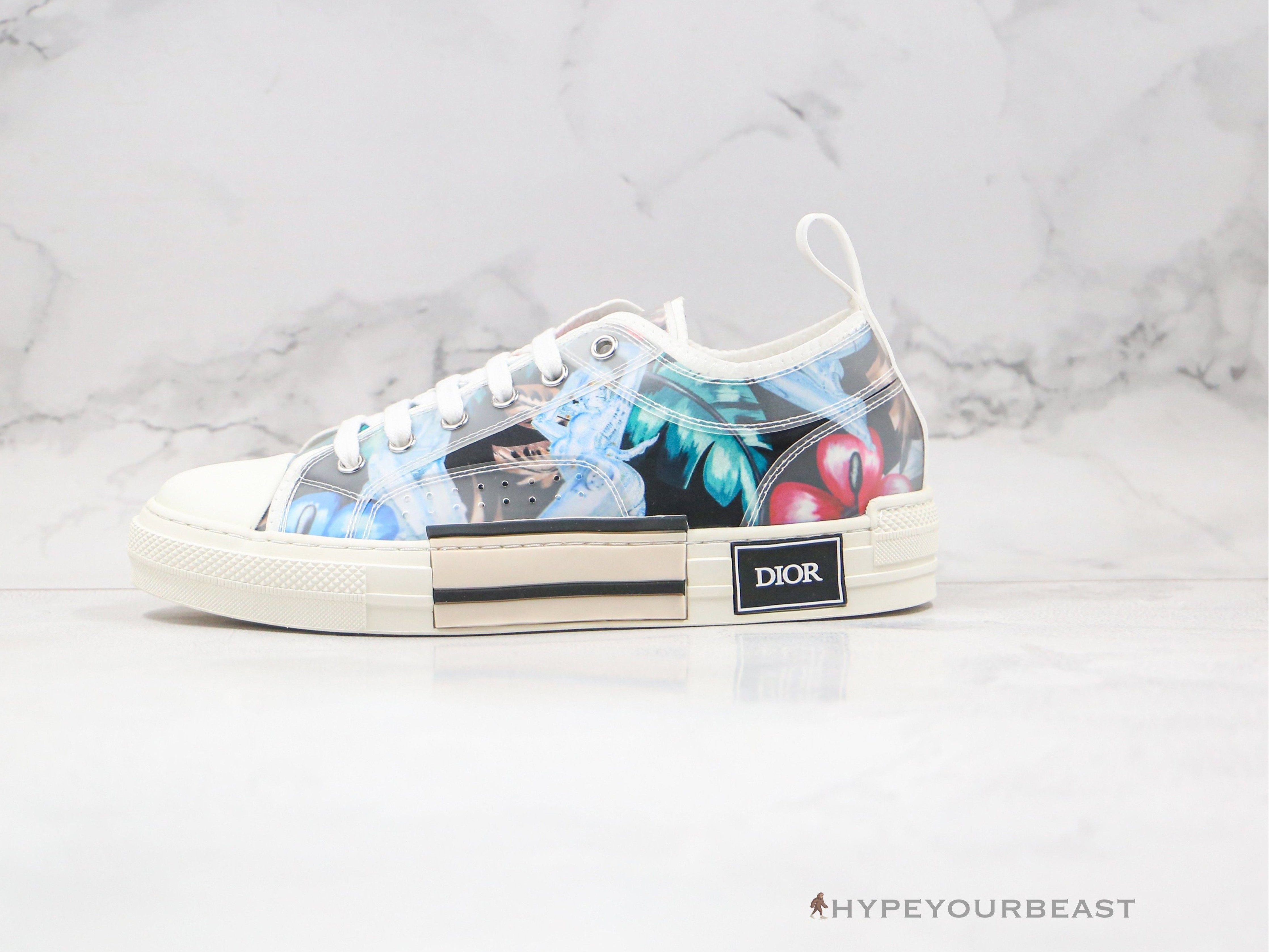 Dior B23 Low Multi Color