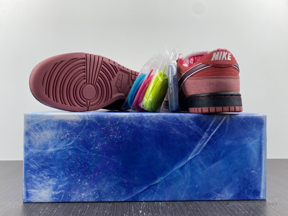 Nike SB Dunk Low Concepts 'Red Lobster'