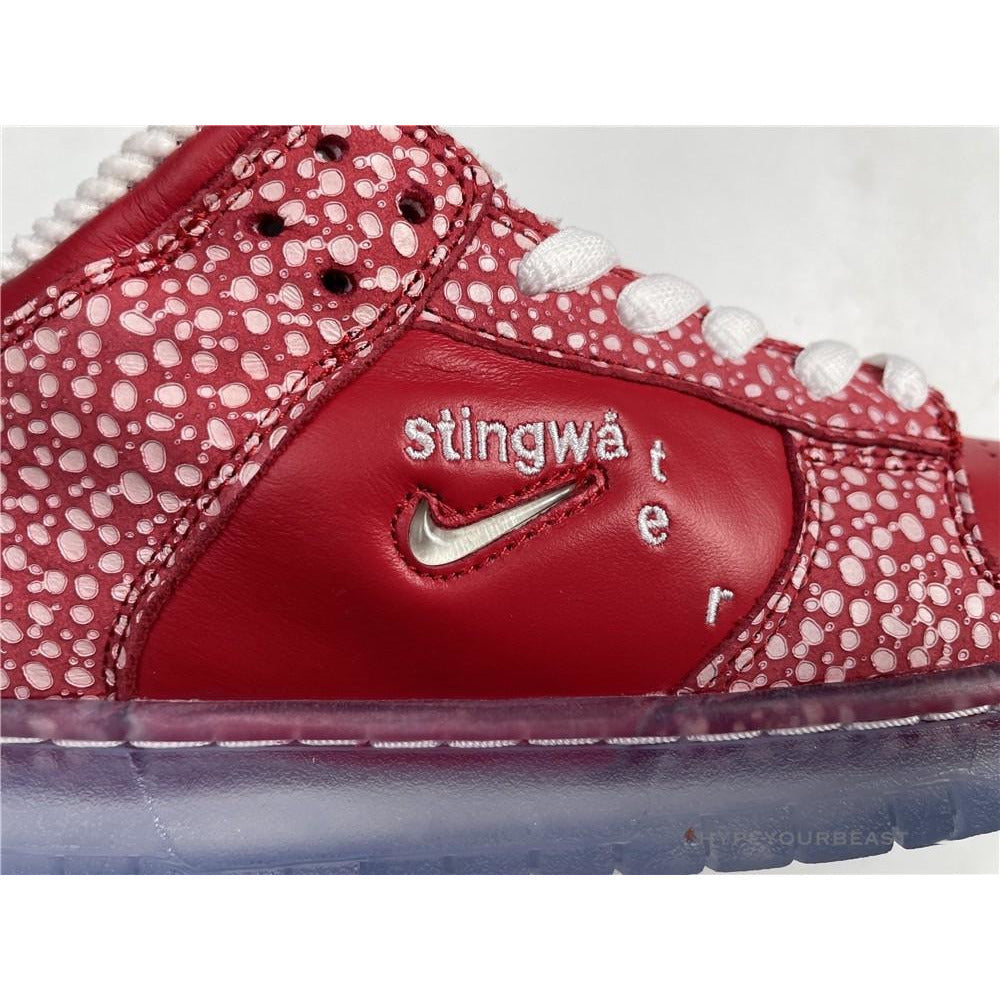Nike Stingwater X SB Dunk Low 'Magic Mushroom'