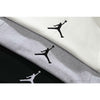 Air Jordan Hoodie Gray