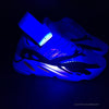 Adidas Yeezy Boost 700 Wave Runner Blue