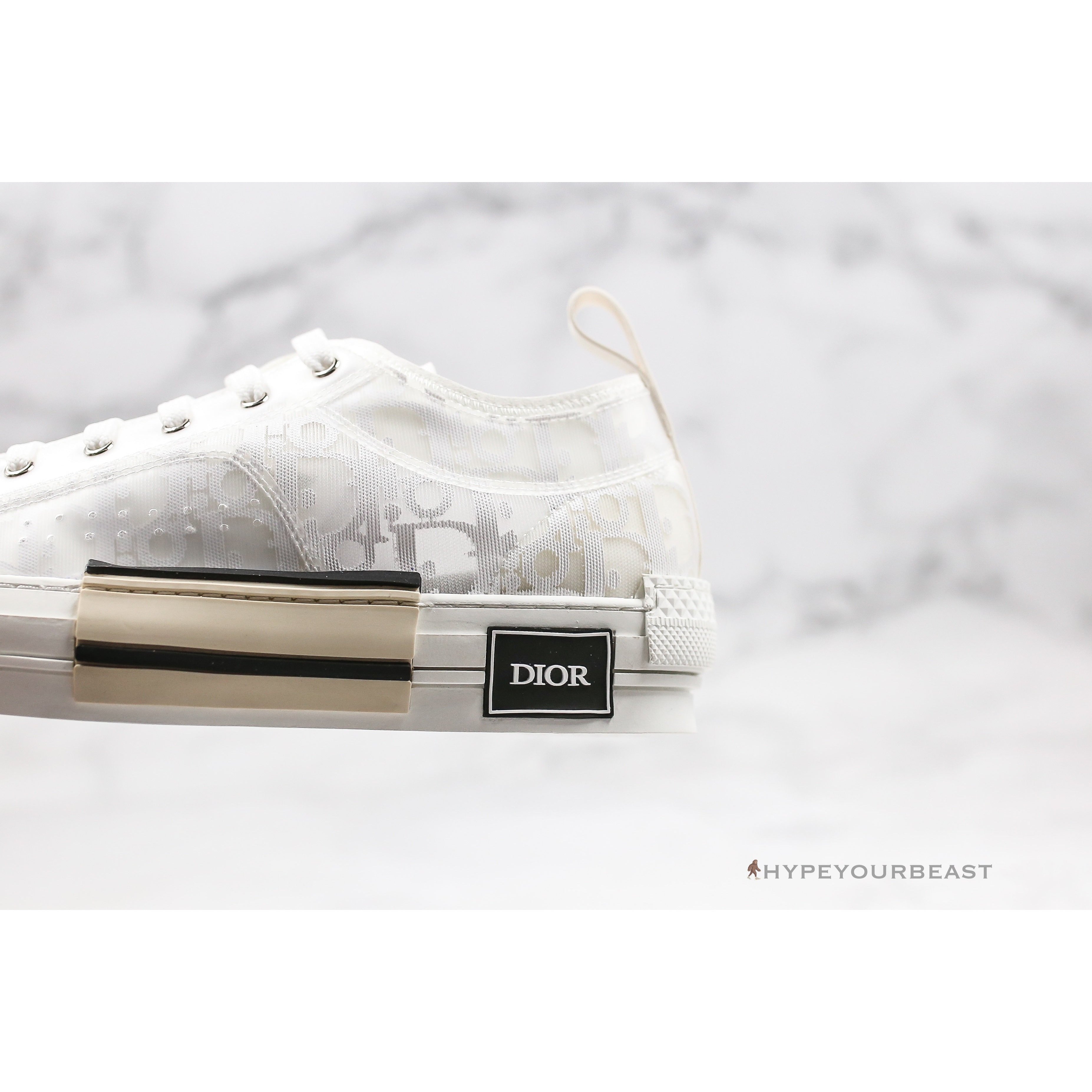 Dior B23 Low Transparent Oblique White