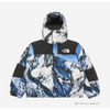 Supreme X TNF Mountain Parka