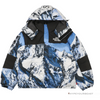 Supreme X TNF Mountain Parka