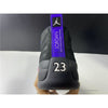 Air Jordan 12 'Dark Concord'